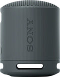 Sony XB100